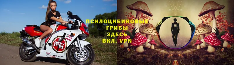 Галлюциногенные грибы Magic Shrooms  Остров 